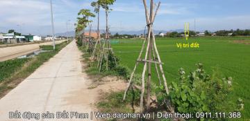 2890m2 đất trồng lúa cạnh Mương Ngòi