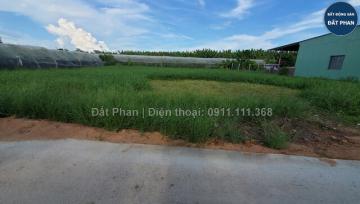 GẦN 1 SÀO ĐẤT CÂY LÂU NĂM CHO CHUYỂN THỔ CƯ VEN PHAN RANG