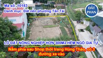LÔ ĐẤT NÔNG NGHIỆP HƠN 300M2 HẺM NGÔ GIA TỰ SAU SHOP HÙNG THẢO