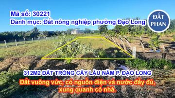 312M2 ĐẤT TRỒNG CÂY LÂU NĂM TẠI ĐẠO LONG - ĐƯỜNG Ô TÔ