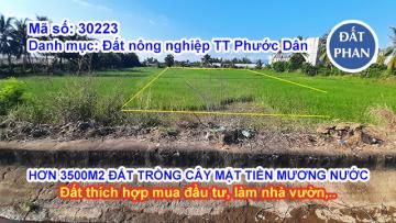 HƠN 3500M2 ĐẤT TRỒNG CÂY MẶT TIỀN MƯƠNG TẠI BÌNH QUÝ NINH PHƯỚC