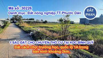 1 SÀO ĐẤT CHO CHUYỂN THỔ CƯ TẠI KHU DÂN CƯ BÌNH QUÝ NINH PHƯỚC