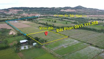 Hơn 3200m2 đất trồng cây gần cao tốc Bắc Nam giá đầu tư